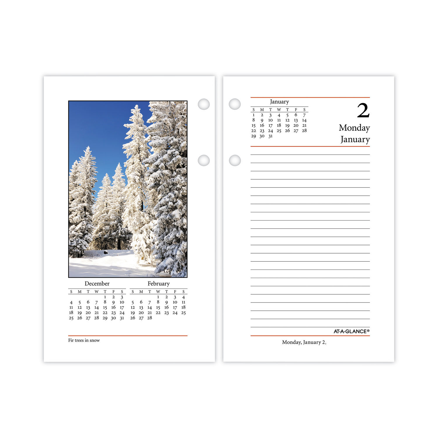 Photographic Desk Calendar Refill by AT-A-GLANCEandreg; AAGE41750