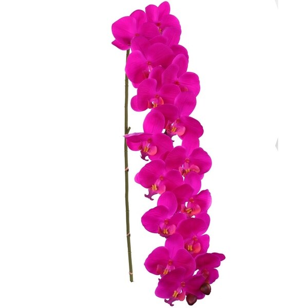 Phalaenopsis Orchid 48 Inch with 16 Real Touch Silk Blooms