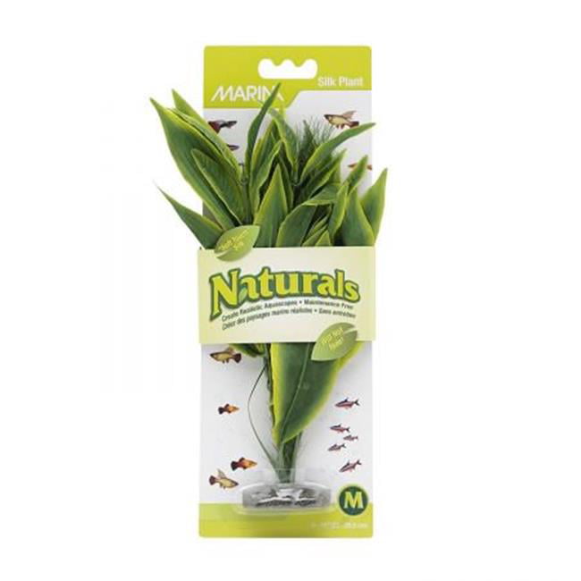 Marina Naturals Green Dracena Silk Plant， Medium