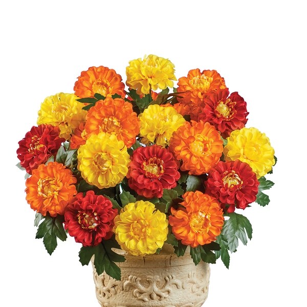 Marigold Mixed Arrangement Bushes