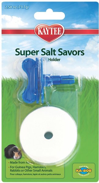 Kaytee Super Salt Savors Small Pet Toy