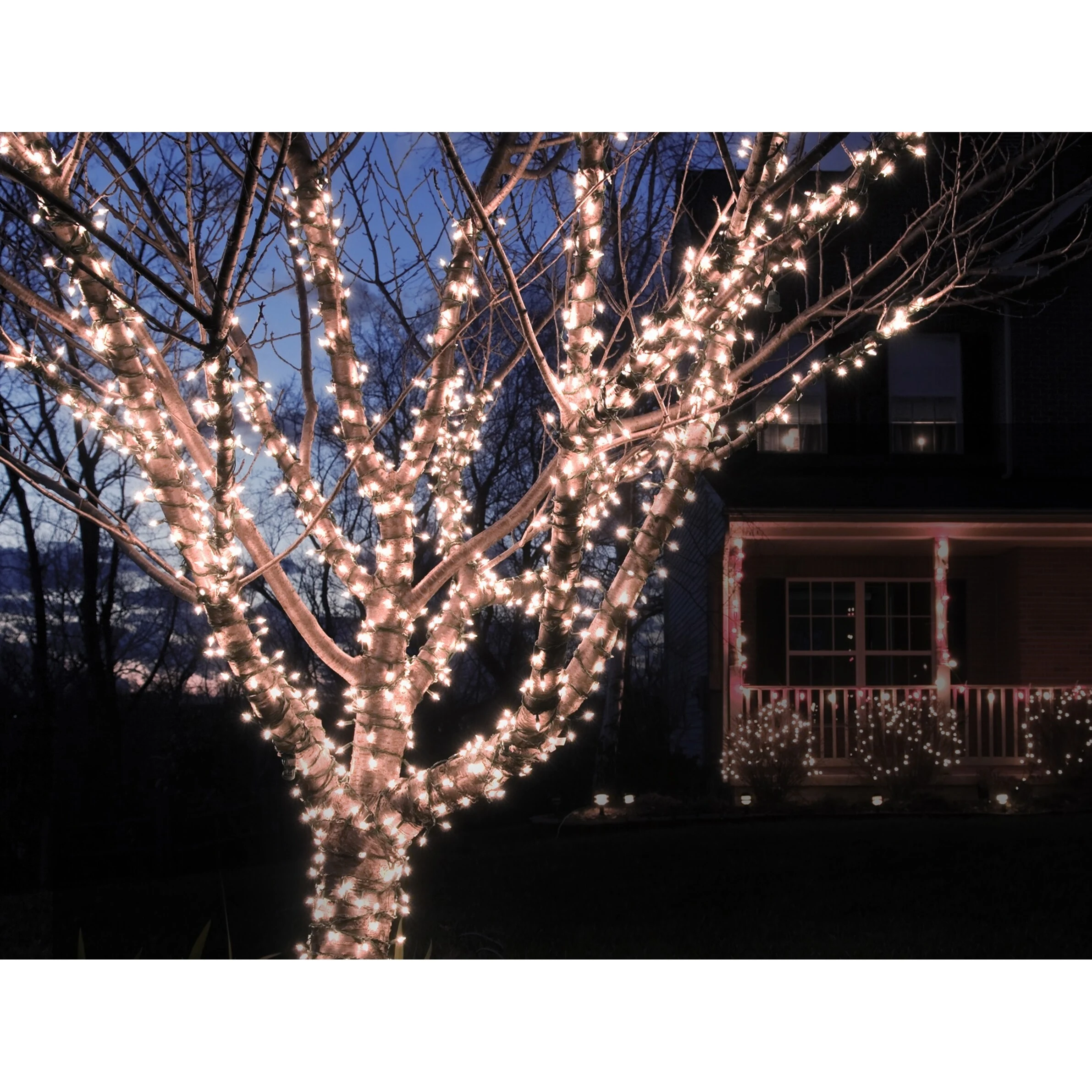 Solar Powered 100 LED String Light - Cool White