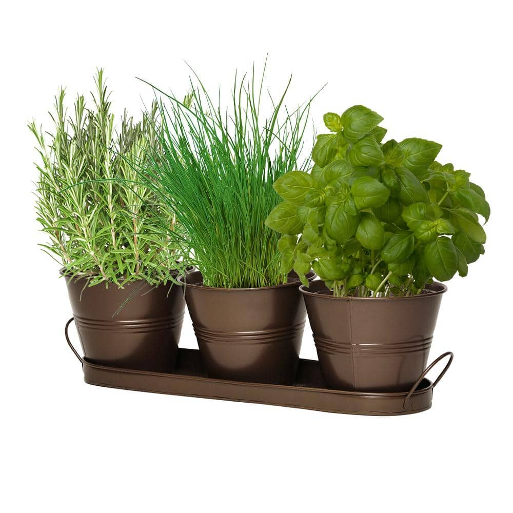 Classic Home and Garden Herb Trio with Tray Copper Tin Planter 58672