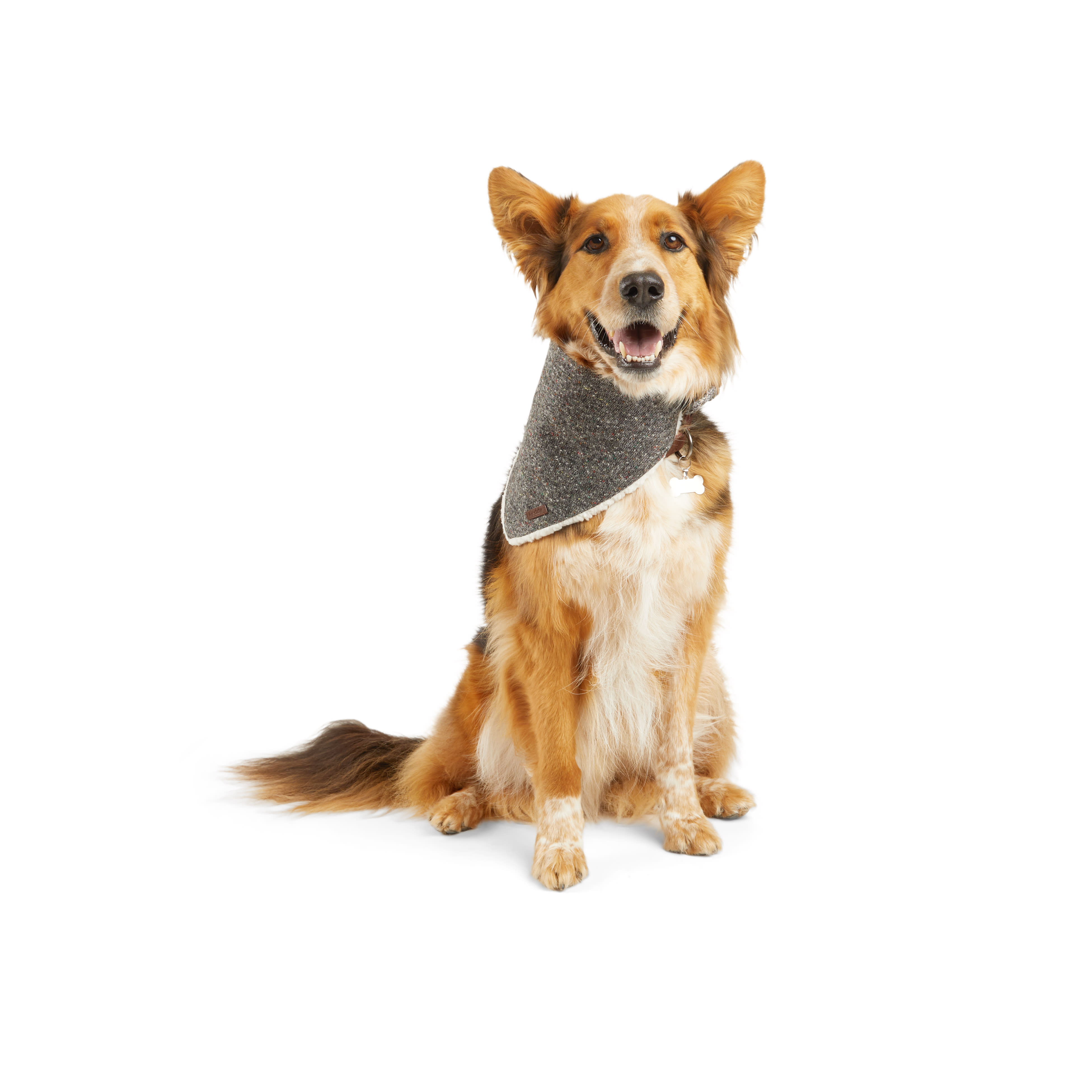 Reddy Grey Tweed Dog Bandana， Large/X-Large