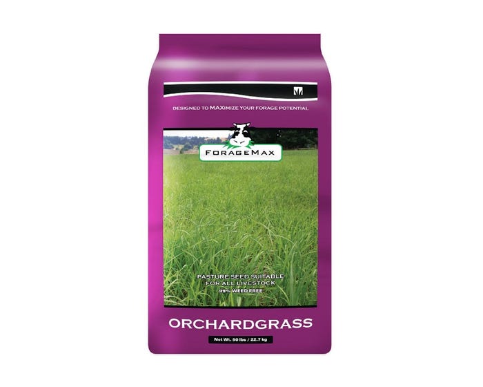 Forage Max Orchard Grass Seed 50lb - SEEDORCHARD