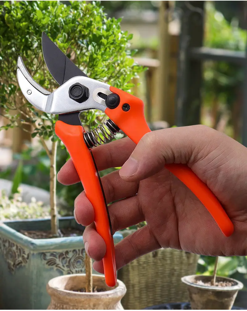 Promotion Bonsai Spring Lightweight Garden Tool Grape Curved Tree Bypass Care Flower Garden Pruning Shears Scissors