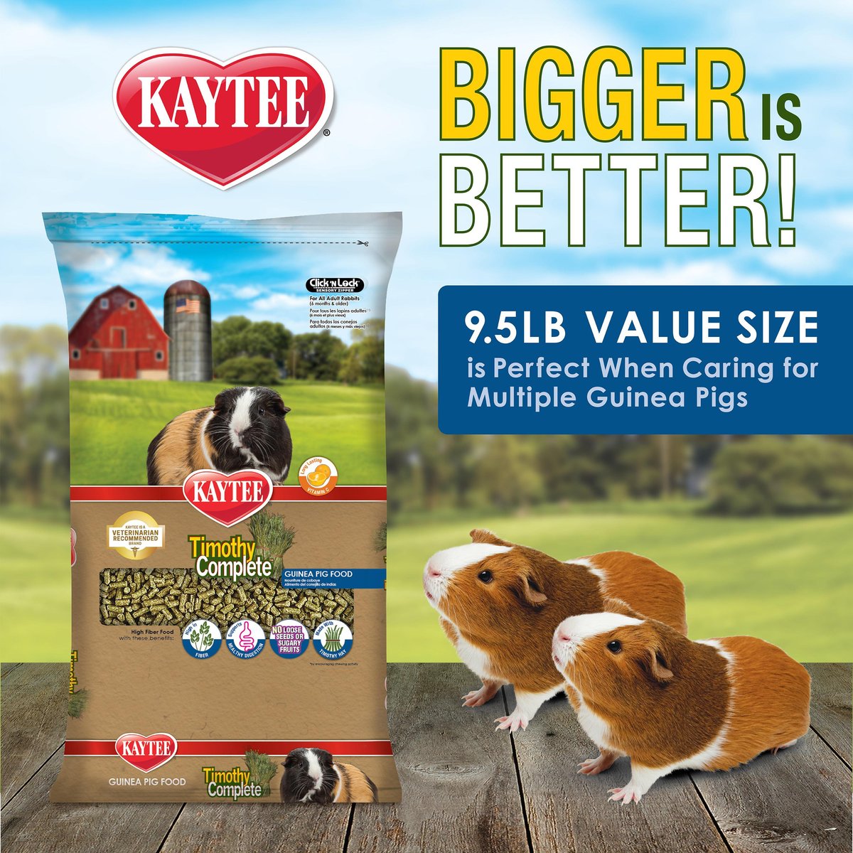 Kaytee Timothy Complete Guinea Pig Food， 9.5-lb bag