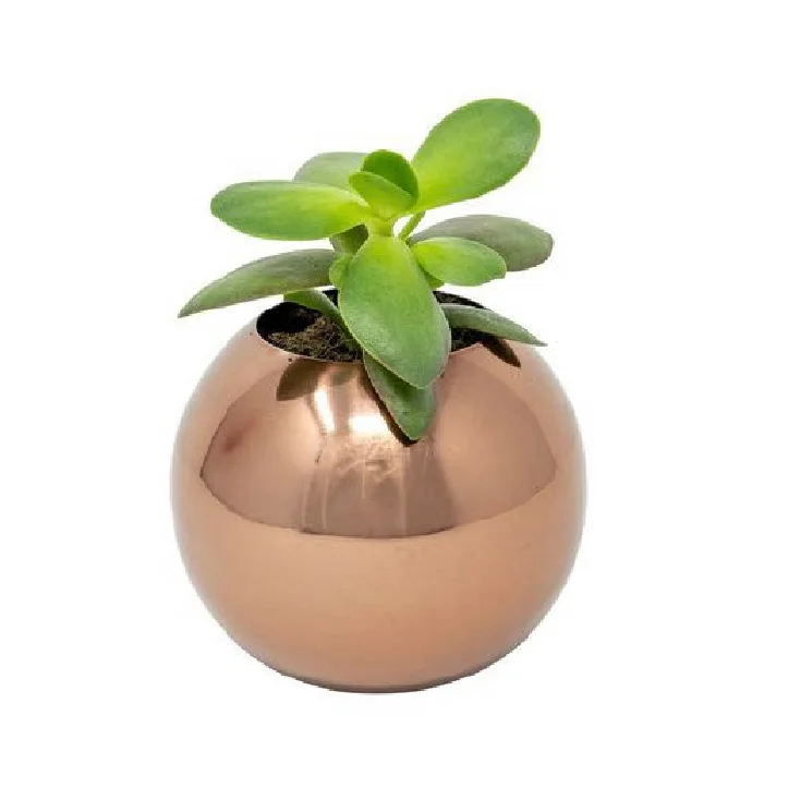 Best Design Gold Polished Handmade Custom Handmade Metal Planters for Garden Home Decorative Plant Flower Pot