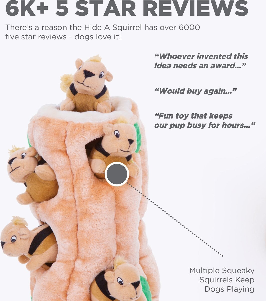 Outward Hound Hide A Squirrel Squeaky Puzzle Plush Dog Toy