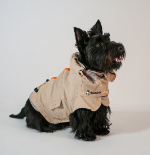 ThunderCoat For Dogs