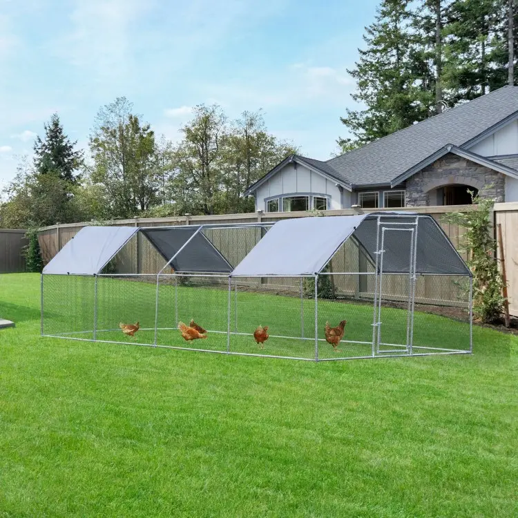 Factory supply  wild outdoor chicken house poultry garden greenhouse