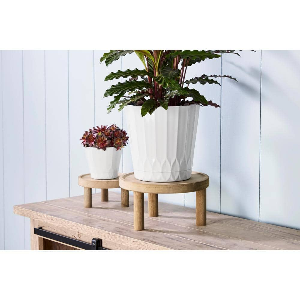 Vigoro 10 in. Footed Medium Brown Wood Plant Stand (10 in. L x 10 in. W x 5 in. H) FR376-DRK