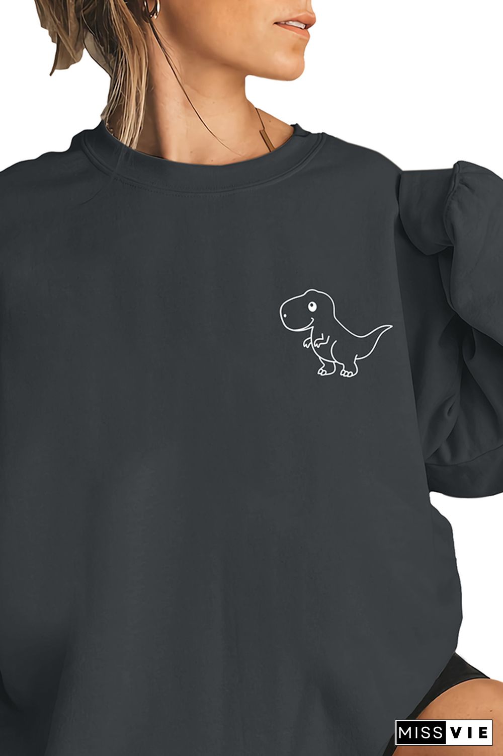 Dinosaur Birthday Party Sweatshirt Wholesale