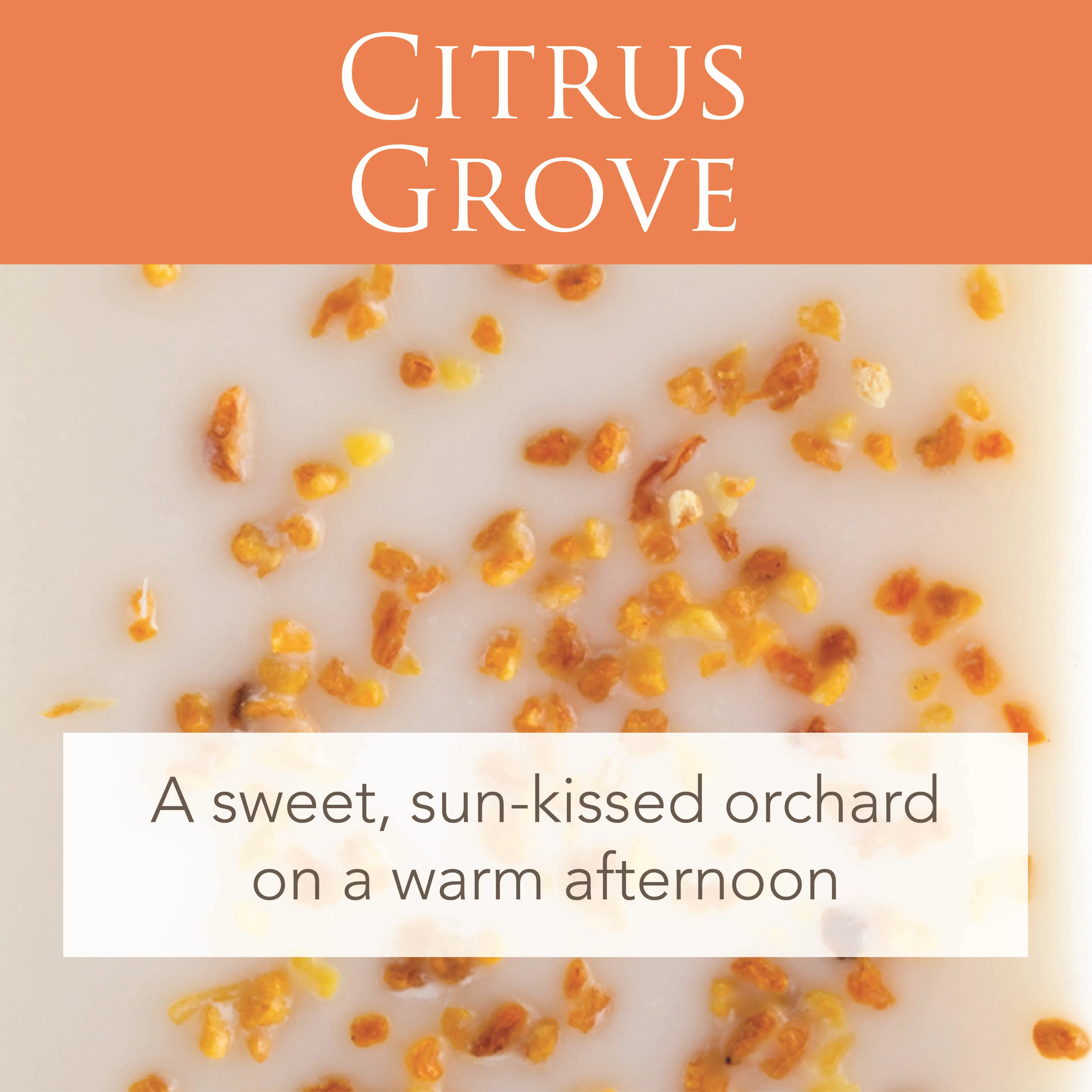 Citrus Grove 2.5oz Artisan Wax Melt