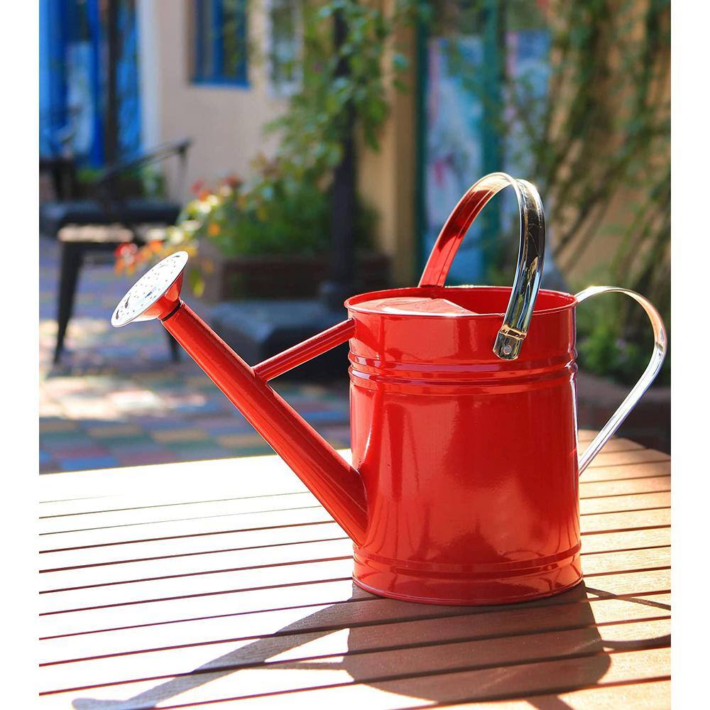 Cubilan 1 Gal. Watering Can for OutdoorIndoor Plants Galvanized Steel Watering Can with Stainless Steel Handles B09J163QF9