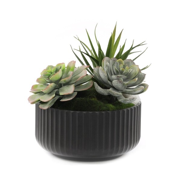 Faux Succulents and Moss Arrangement in Ribbed Black Pot