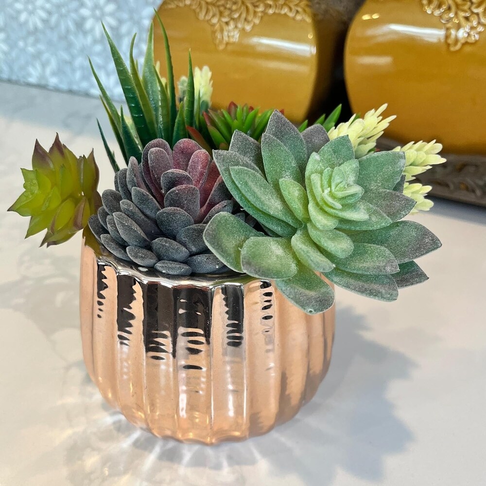 Admired By Nature Planters Pots  Modern Ceramic for Home Décor