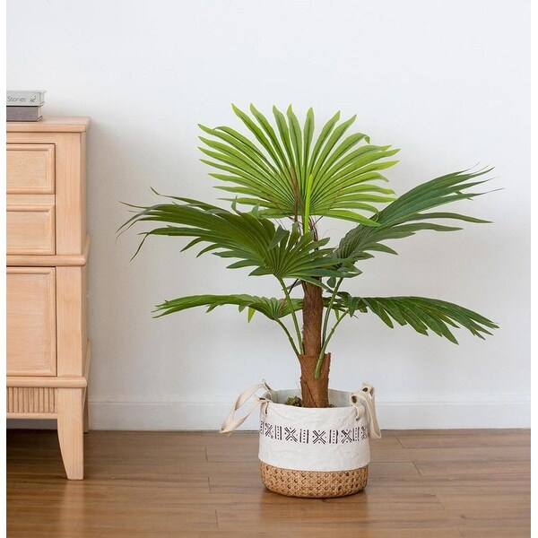 AandB Home Fan Palm Tree in Pot