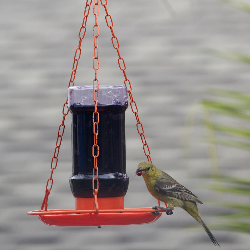 ORIOLE JELLY FEEDER