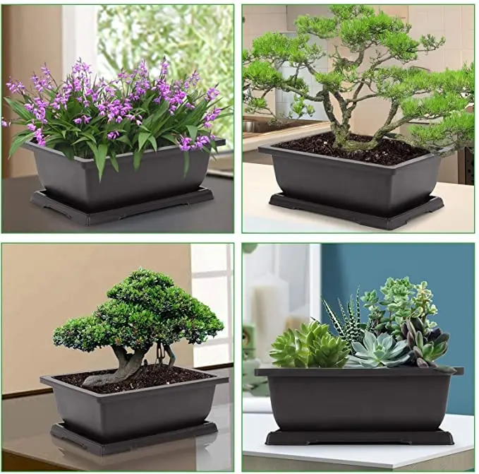 macetas para bonsai garden supplies wholesalers rectangle bonsai flower pot bonsai pots cheap