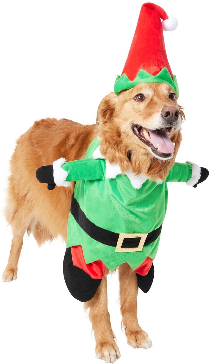 Frisco Front Walking Elf Dog and Cat Costume