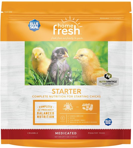 Blue Seal Home Fresh Starter AMP-Medicated Poultry Food， 7-lb bag