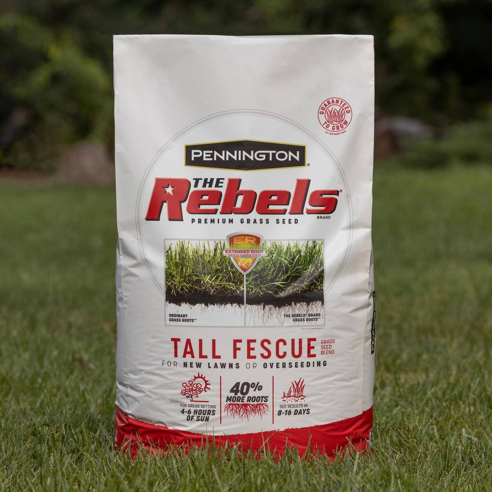 Pennington Rebels 3 lbs. Tall Fescue Grass Seed Blend (2-Pack) 100543728