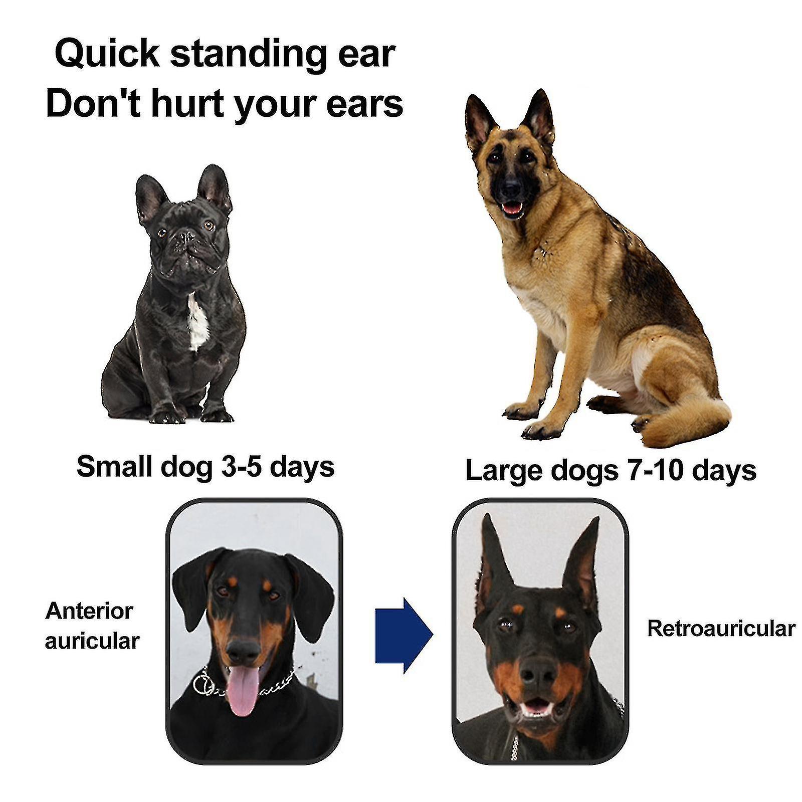 High Sale dog Ears Stand Up Support Ear Sticker Accessories Material Fixed Tools Tape