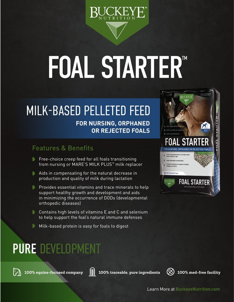 Buckeye Nutrition Foal Starter Milk-Based Pelleted Horse Feed