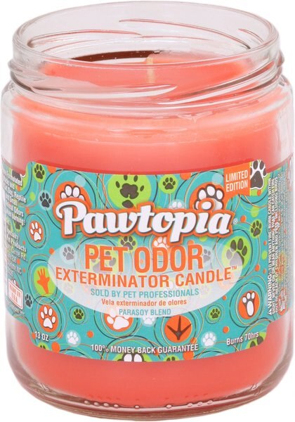 Pet Odor Exterminator Pawtopia Deodorizing Dog  and Cat Candle， 13-oz jar