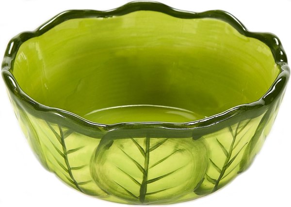 Kaytee Vege-T-Bowl Cabbage Small Pet Bowl， 16-oz