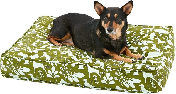 Eco Sustainable Molly Mutt Dog Bed Duvet Cover， Amarillo， Green and Blue