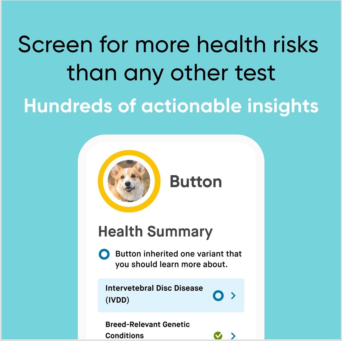 Embark Breed Identification and Health Condition Identification DNA Test for Dogs