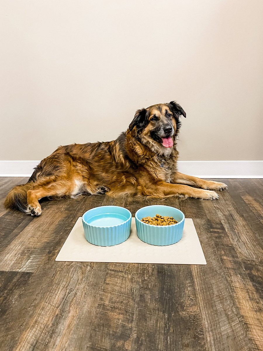 Waggo Bubble Dog and Cat Placemat