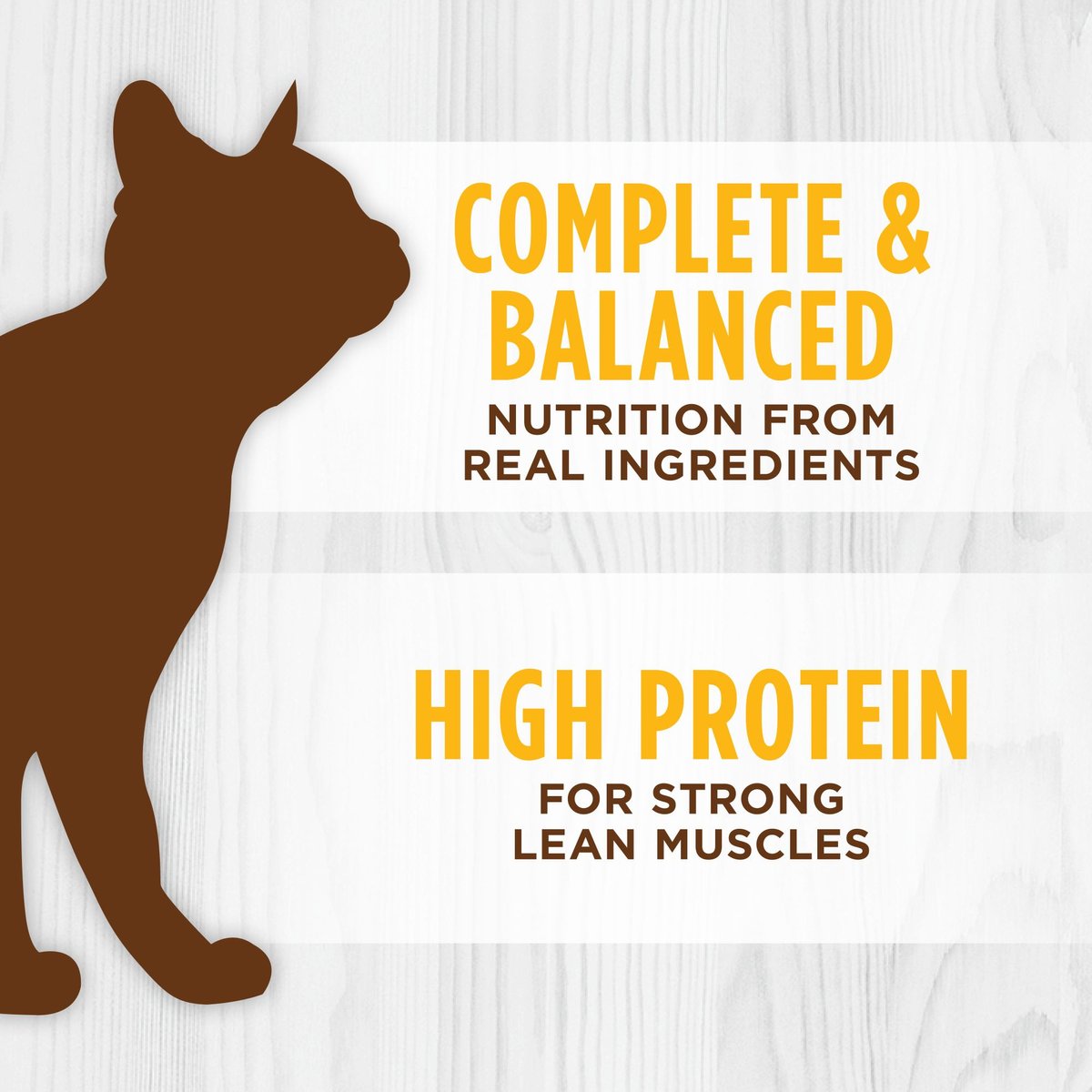 Instinct Original Grain-Free Pate Real Chicken Recipe Wet Canned Cat Food