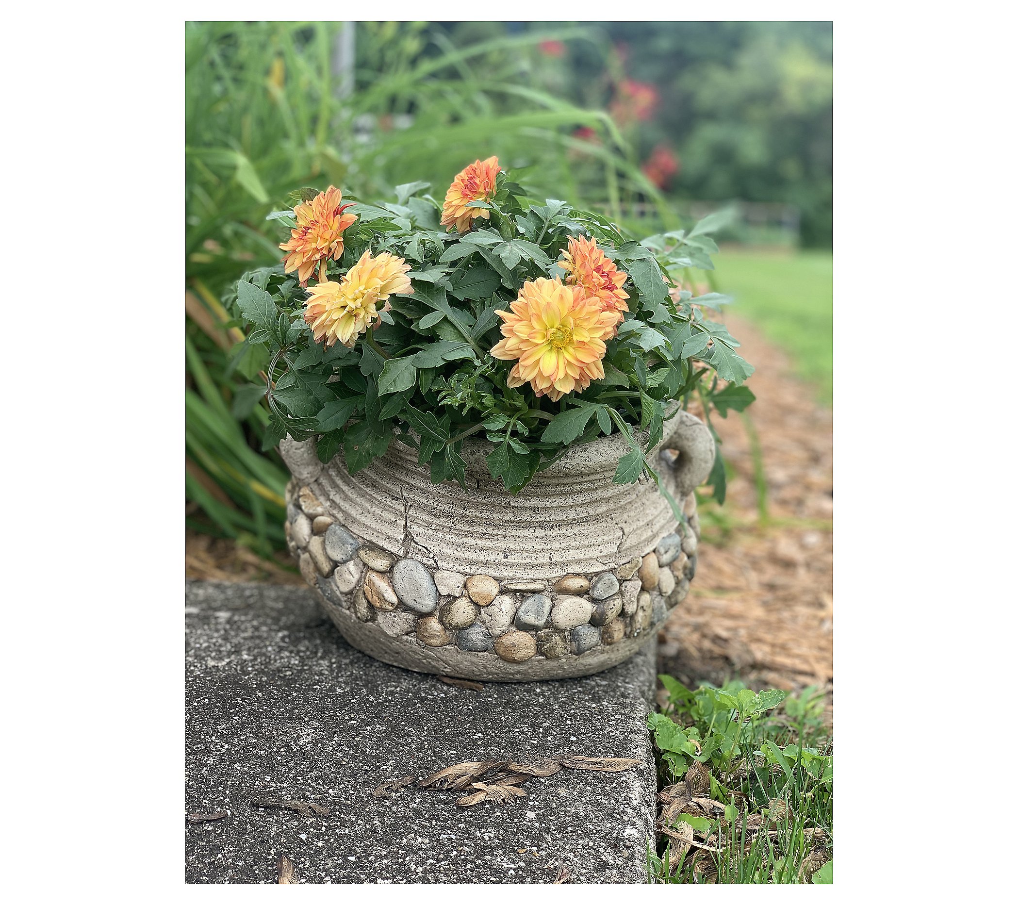 RCS Gifts Planter Stone Jar