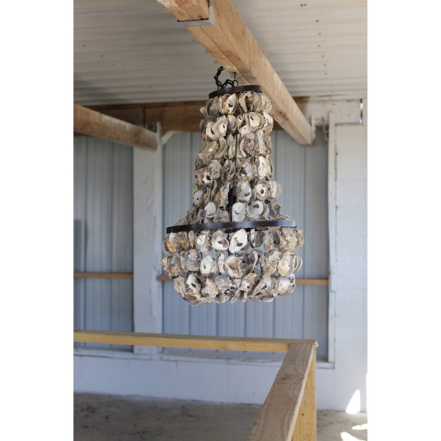 Oyster Shell Chandeiler Storied Home