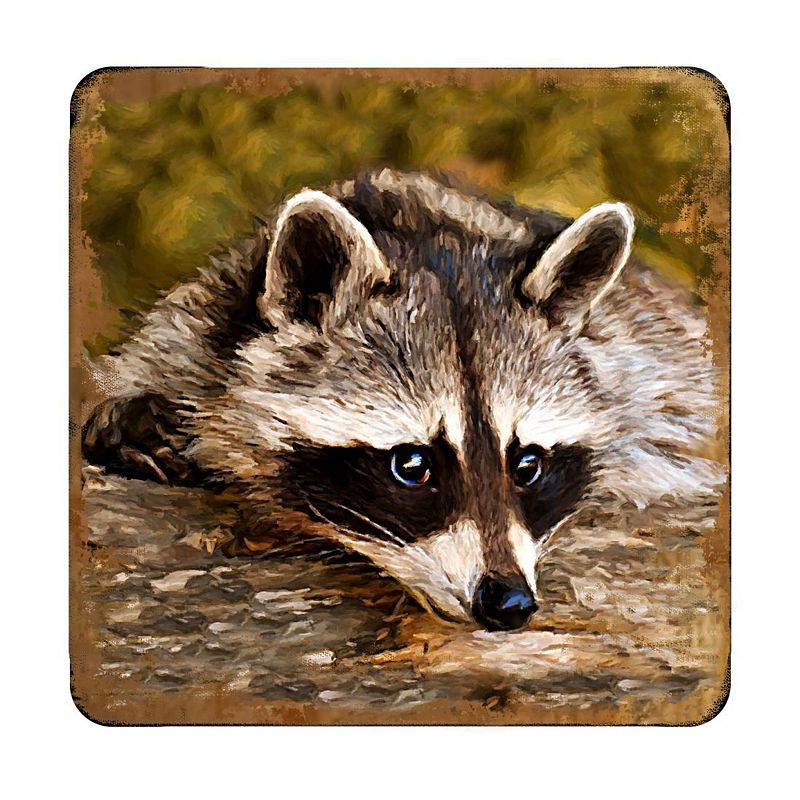 Raccoon Wooden Cork Coasters Gift Set of 4 by Nature Wonders