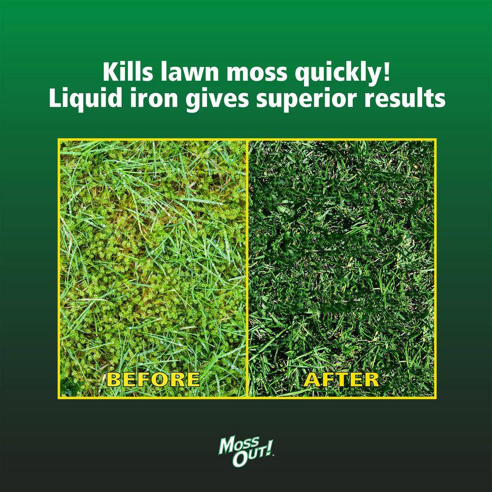 Moss Out! 1 Gal. Moss Out! Moss Killer for Lawns 100099156