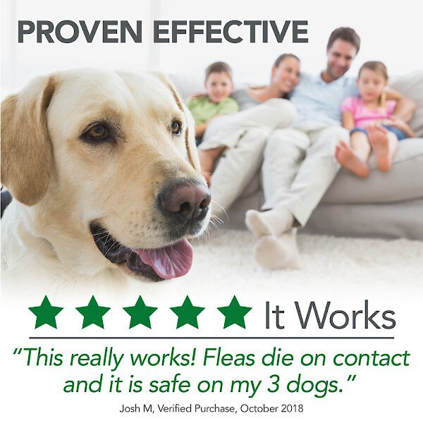 Vet's Best Topical and Indoor Flea and Tick Spray for Dogs