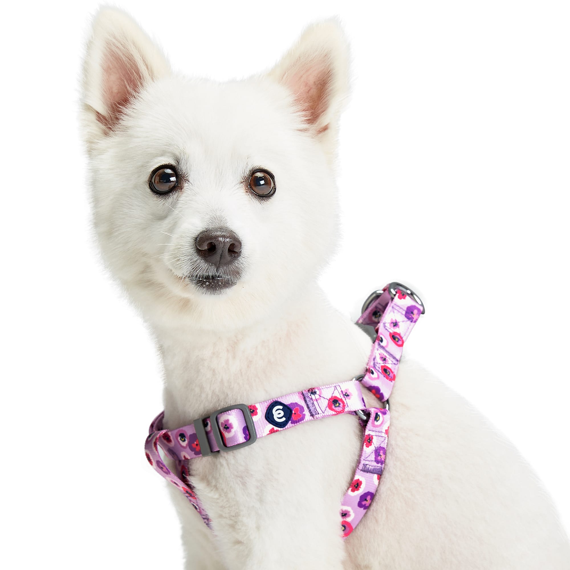 Blueberry Pet Essentials Light Purple Floral Adjustable Dog Harness， Small