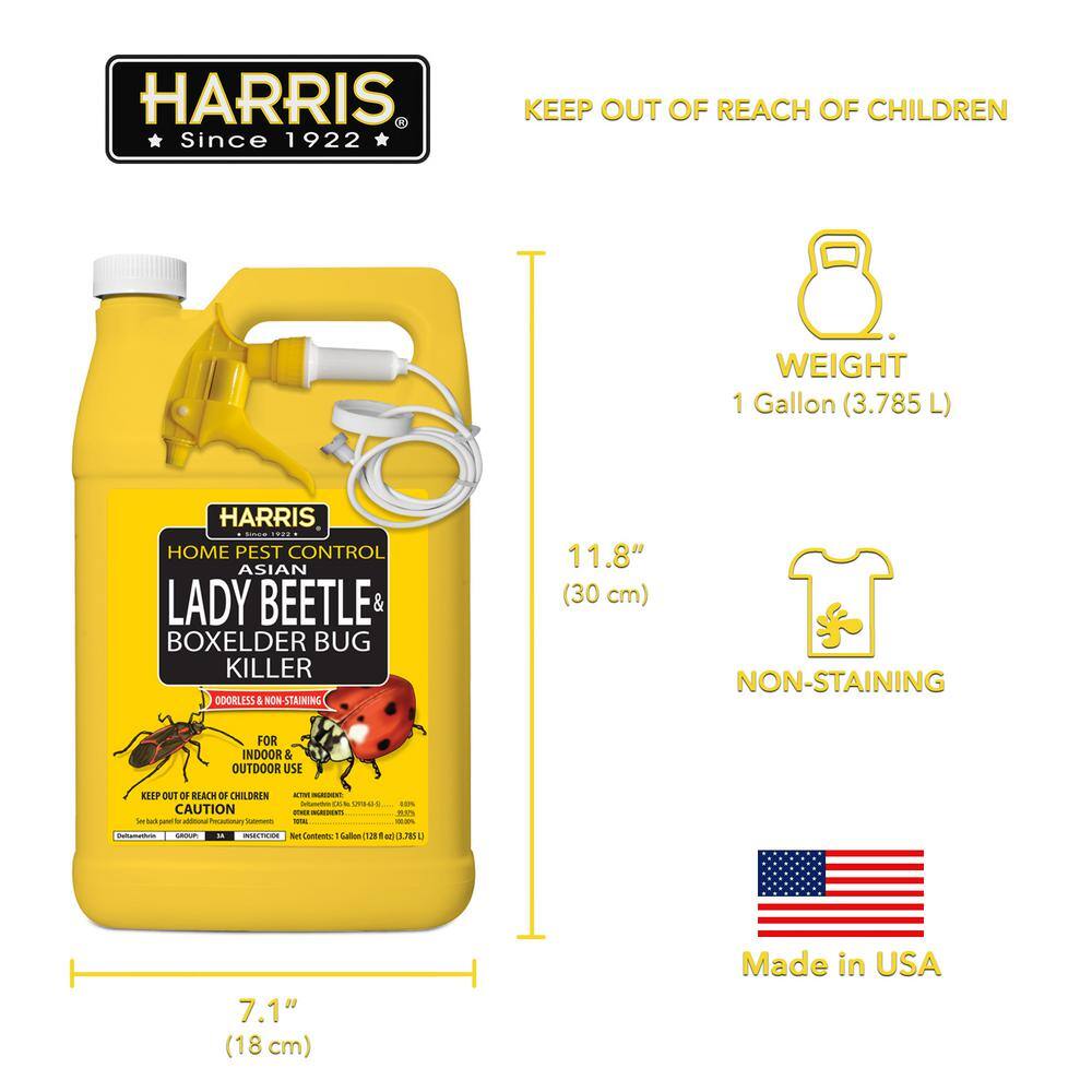 Harris 1 Gal. Asian Lady Beetle and Box-Elder Bug Killer HBXA-128