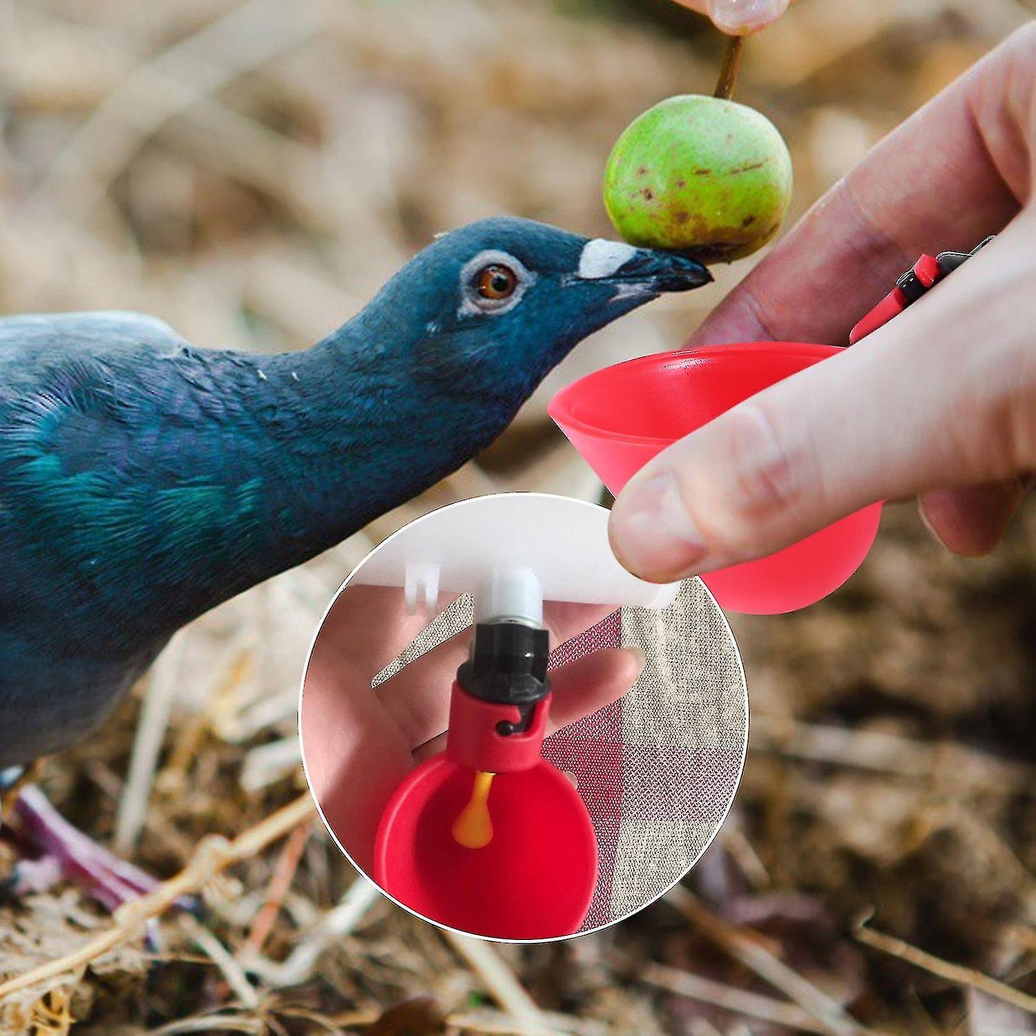 24pcs Feed Automatic Bird Coop Poultry Chicken Drinker Water Drinking Cups Livestock Drinking Cup P