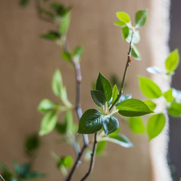 Artificial Green Leaf Faux Tree In Pot