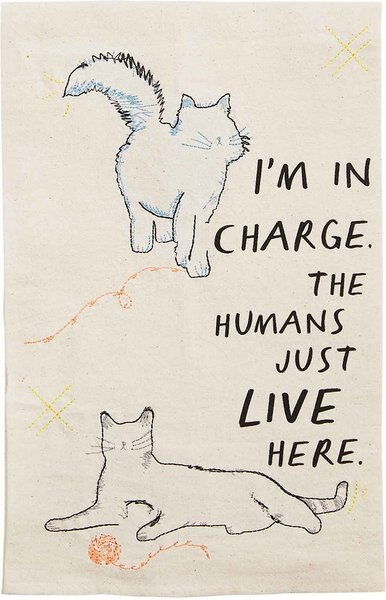 Mud Pie Funny I'm In Charge Cat Kitchen Tea Towel， Cream