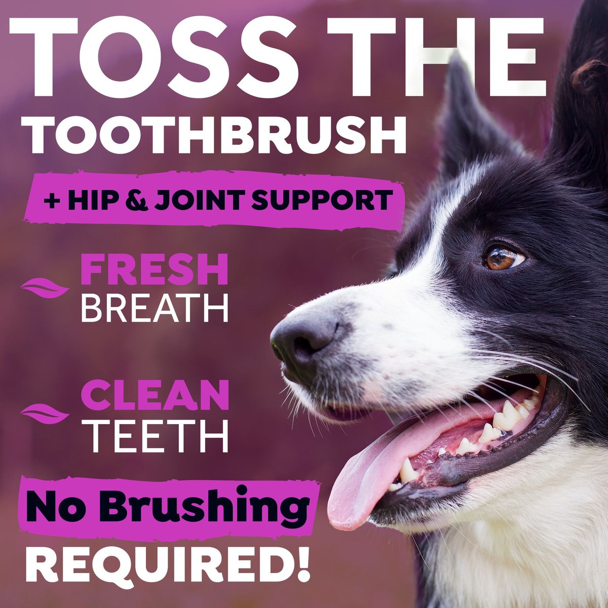 TropiClean Fresh Breath Dental Health Solution + Hip and Joint Support Dog Dental Water Additive