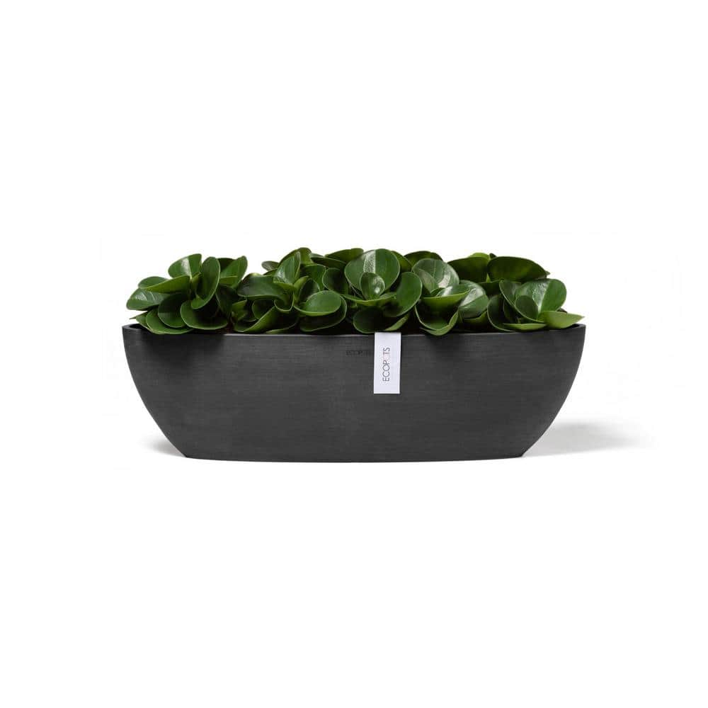 O ECOPOTS BY TPC Sofia 22 in. Dark Grey Premium Sustainable Composite Plastic Planter SOFL.56.DG