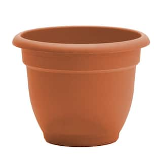 Bloem Ariana 21.5 in. Terra Cotta Plastic Self-Watering Planter 20-56120