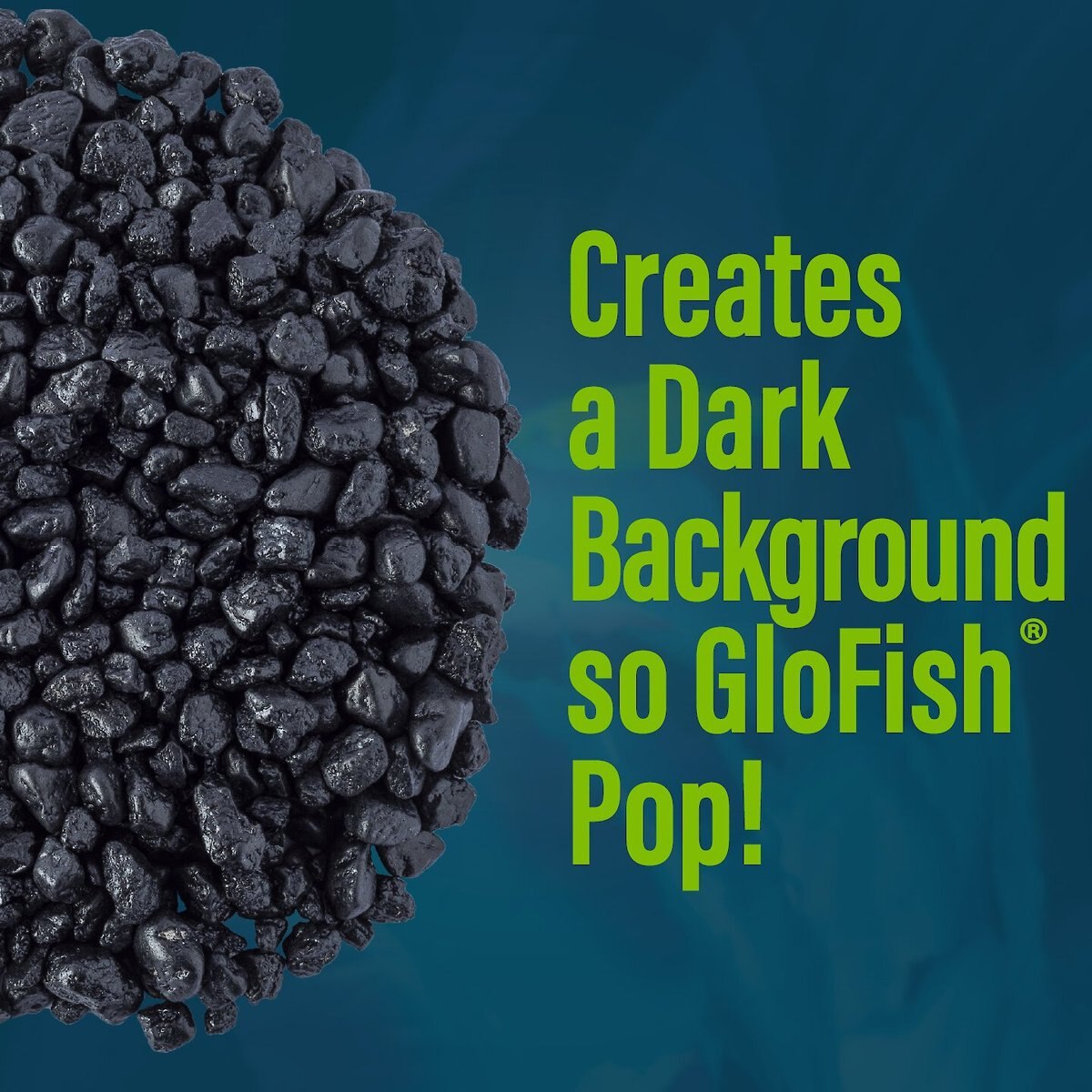 GloFish Aquarium Fish Gravel， Black， 5-lb