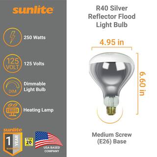 Sunlite 250-Watt R40 Dimmable Mercury Free Incandescent Clear Heat Lamp Bulb (6-Pack) HD03352-6